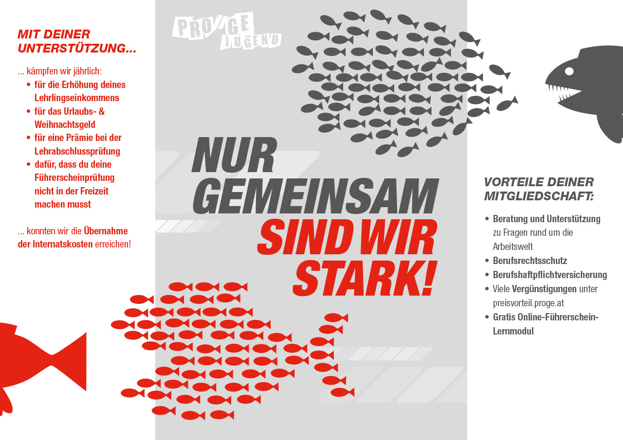 Nur gemeinsam sind wir stark!